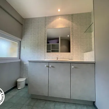 度假居 Grange Renovee Avec Piscine Privative - 4 Ch, Jardin Clos, A 7 Km D'indian Forest - Fr-1-426-304 *